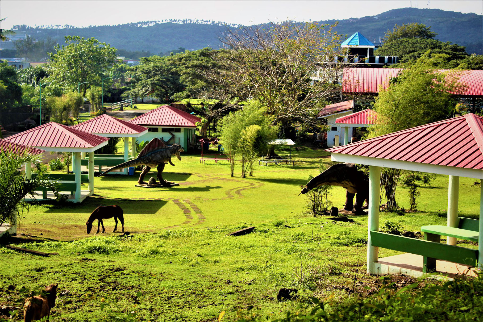 albay-park-and-wildlife-visit-legazpi